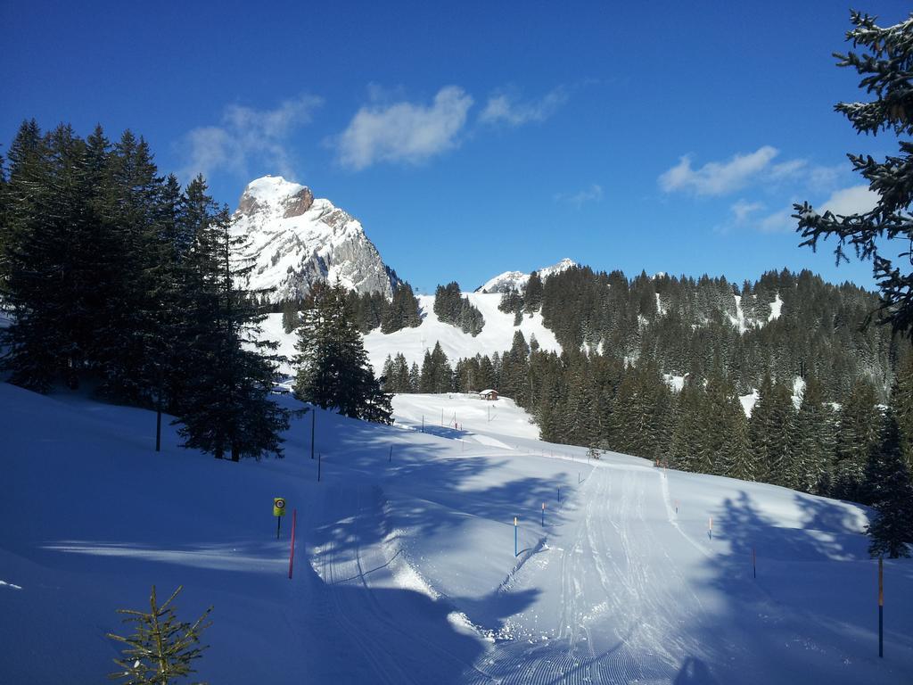 Studio Mythen Schwyz Room photo
