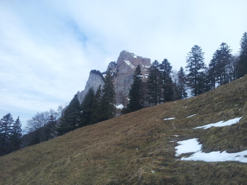Studio Mythen Schwyz Exterior photo
